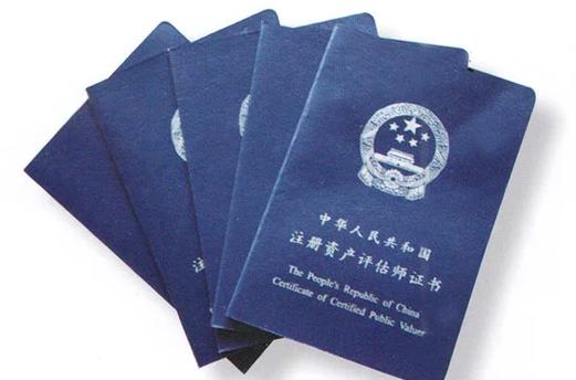 资产评估师与中众资产评估 职业定位与专业服务机构概览